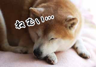ƂЈ̋